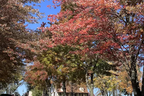Maple Ridge Family Campground