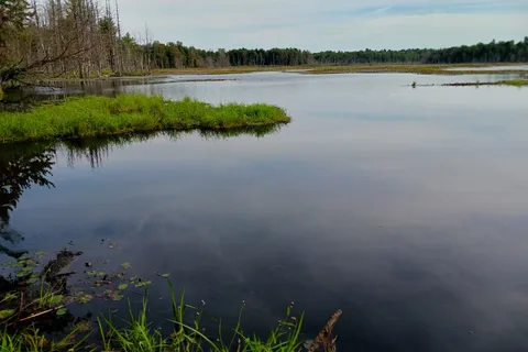 Whispering Woods Campground