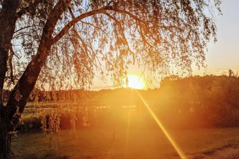 Spirit Springs Campground
