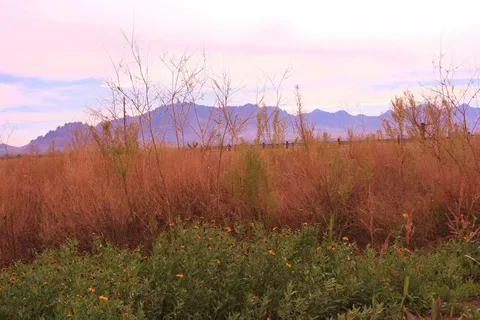 Stagecoach RV Ranch