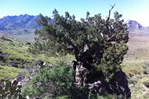 Stagecoach RV Ranch