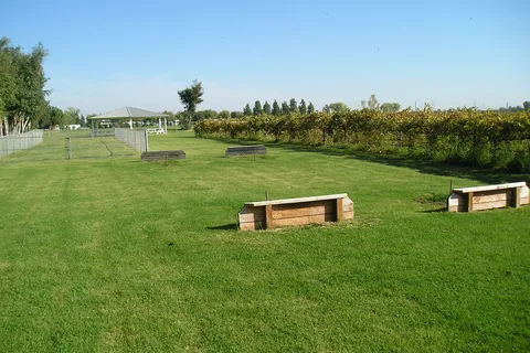 Lake Minden RV Resort