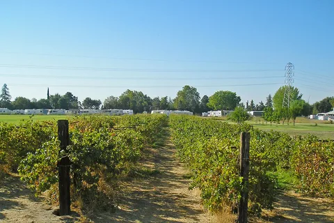 Lake Minden RV Resort