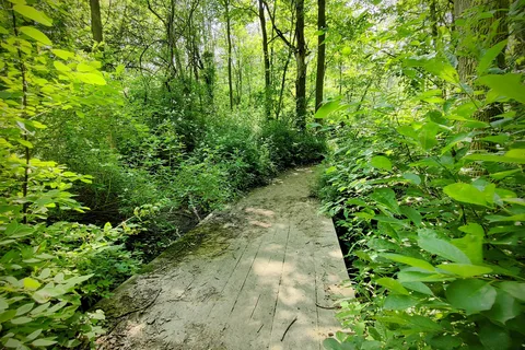 Golden Hill State Park