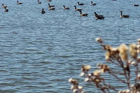 Memphis State Recreation Area