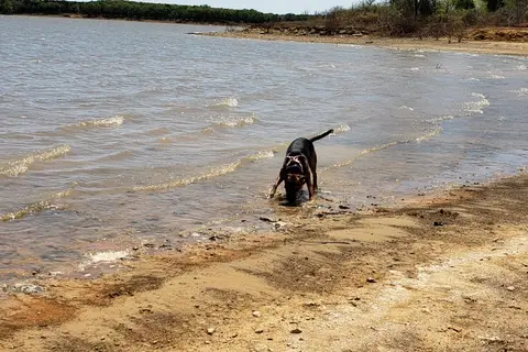 Lake Texoma RV Campground