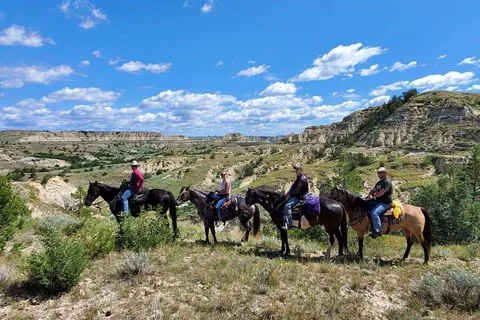Bar X Ranch