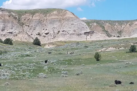 Bar X Ranch