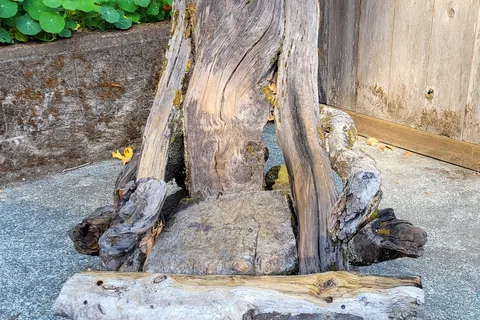 Ancient Redwoods RV Park