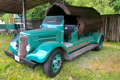 Ancient Redwoods RV Park