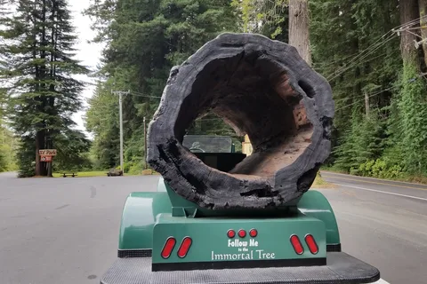 Ancient Redwoods RV Park
