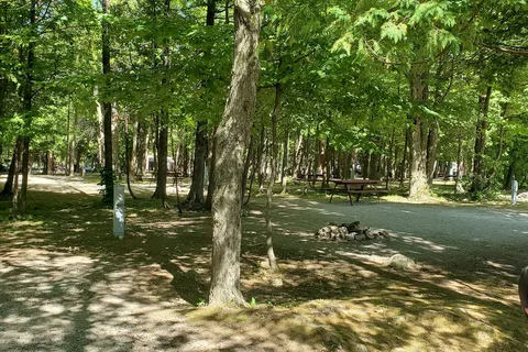 Yogi Bear’s Jellystone Park™ Camp-Resort: Sturgeon Bay