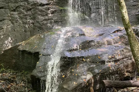 Spacious Skies Bear Den