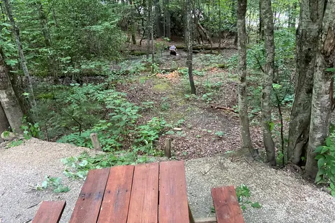 Spacious Skies Bear Den