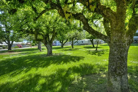 Dexter Shores RV Park