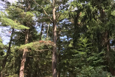 Saratoga RV Park