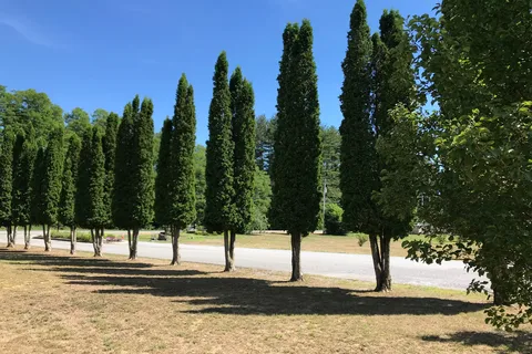 Saratoga RV Park