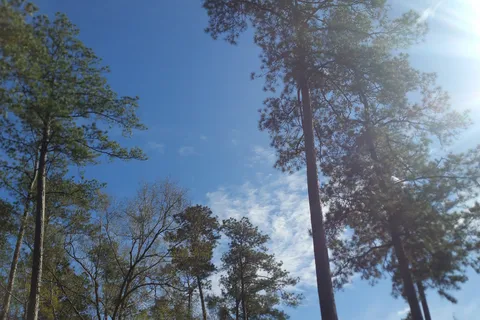 Indian Creek Campground