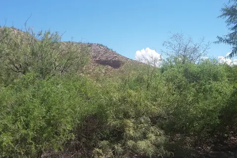 Riverside - Caballo Lake State Park