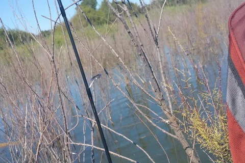 De Cordova Bend - BRA