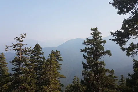 Malahat Mountain Meadows RV Park and Campground