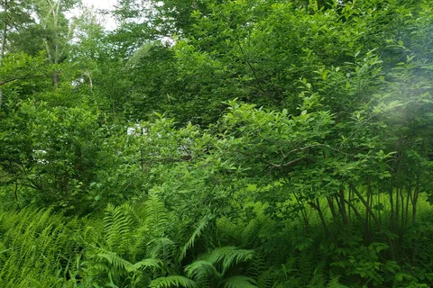 Ginny-B Family Campground