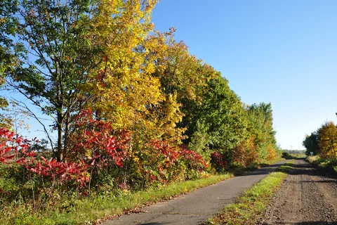 Soo Line Trail Campground