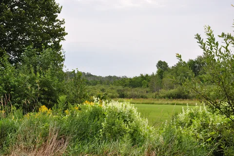Soo Line Trail Campground