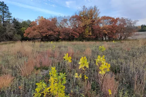 Lake Herman State Park