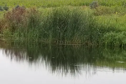 Oakwoods Trails Campground