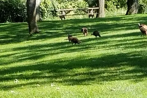 Oakwoods Trails Campground