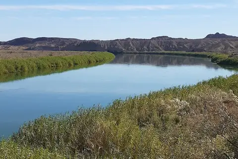 4S Beach CG - Picacho State Recreation Area