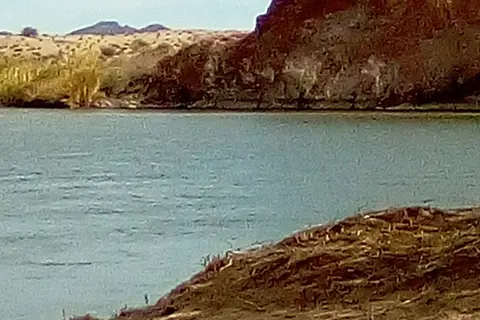 4S Beach CG - Picacho State Recreation Area