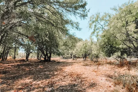 Oasis Campgrounds