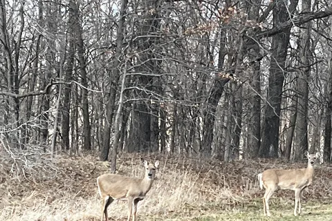 Honey Creek State Park