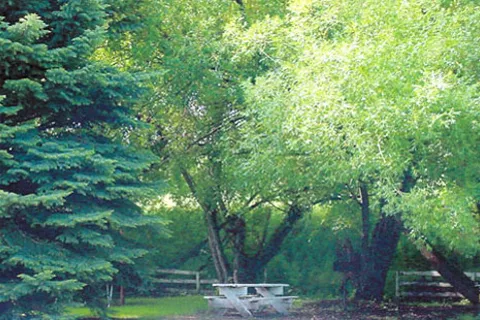 Big Timber / Greycliff KOA Journey