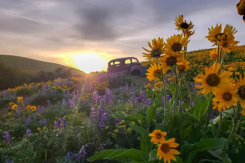 Columbia Hills State Park