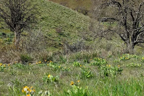 Columbia Hills State Park