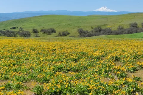 Columbia Hills State Park