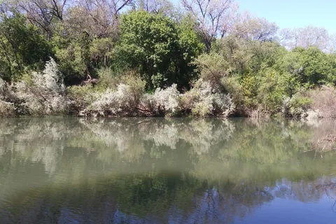 Burke's Canoe Trips