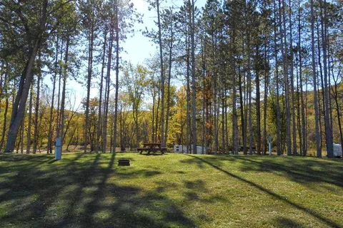 Kickapoo Stump Dodger Campground