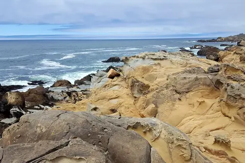 Gerstle Cove - Salt Point State Park