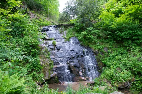 Virginia Highland Haven Airstream Only Park
