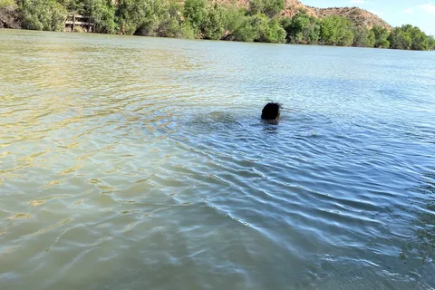 Percha Dam State Park