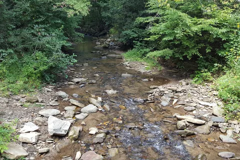 Catawba Falls Campground, LLC