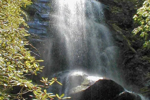 Catawba Falls Campground, LLC