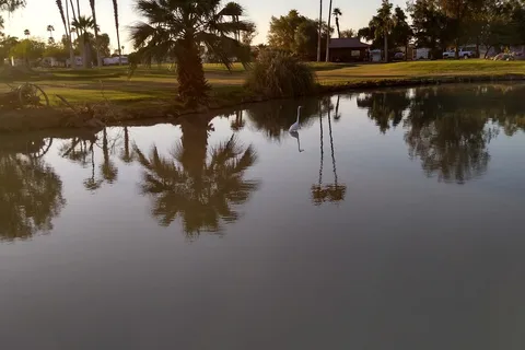 Desert Trails RV Park