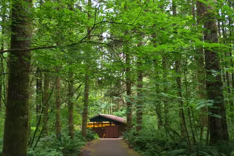Ike Kinswa State Park