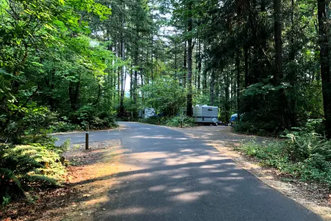 Ike Kinswa State Park