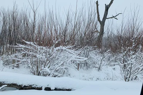 Kil-So-Quah State Recreation Area